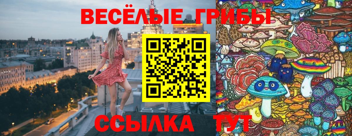 Балтийск  Галлюциногенные грибы MAGIC MUSHROOMS  Вход с VPN  Псилоцибиновые грибы прущие грибы 